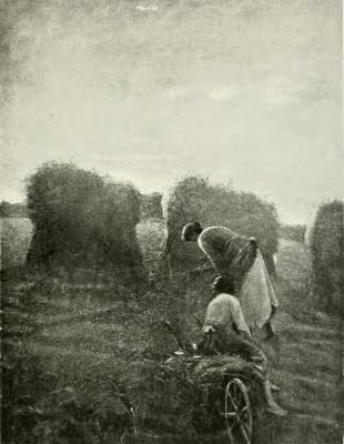 Alceste Campriani - spigolatura