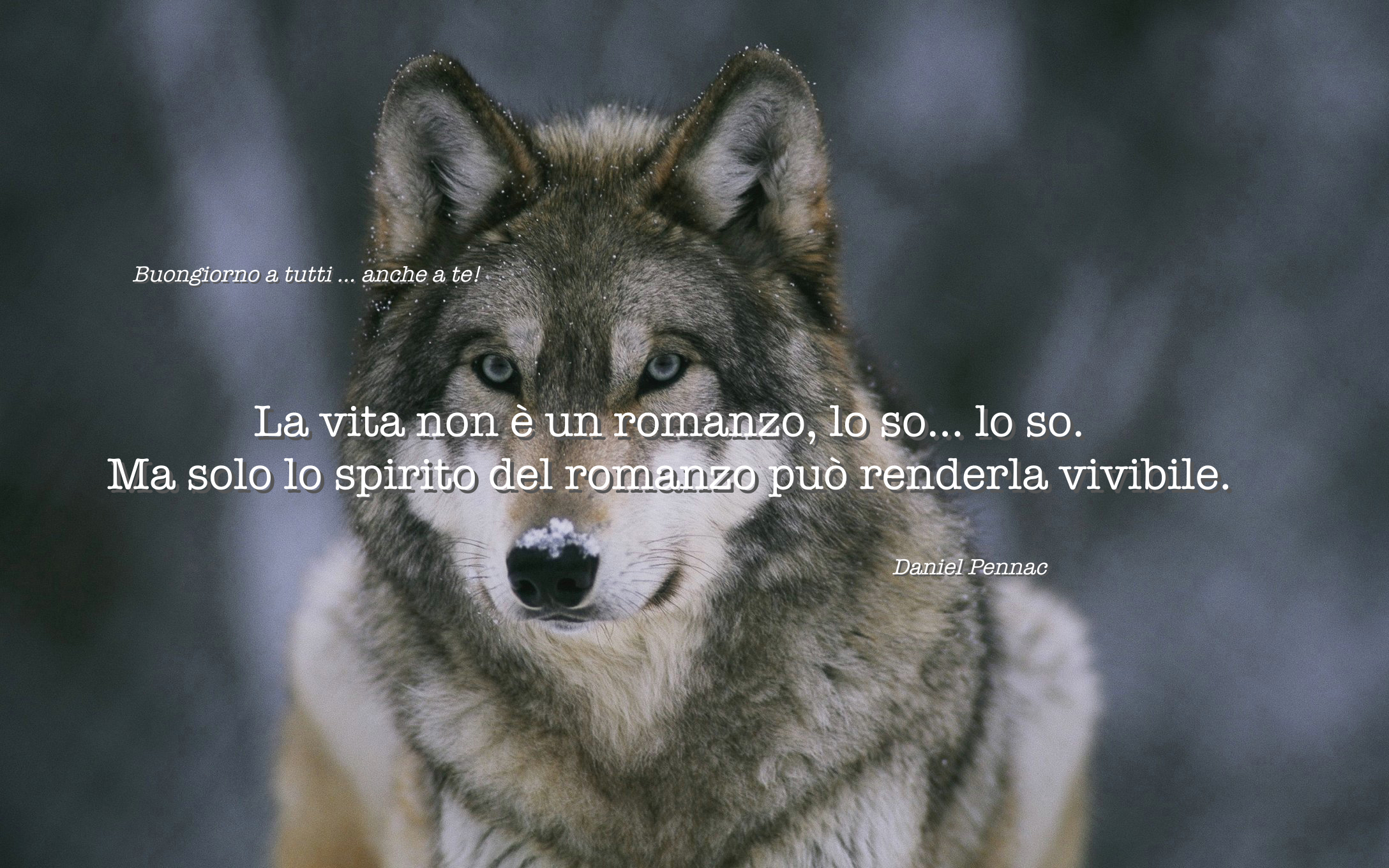 2016 01 21 buongiorno