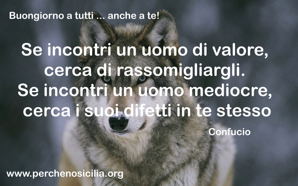 2016 01 28 buongiorno giovedì confucio