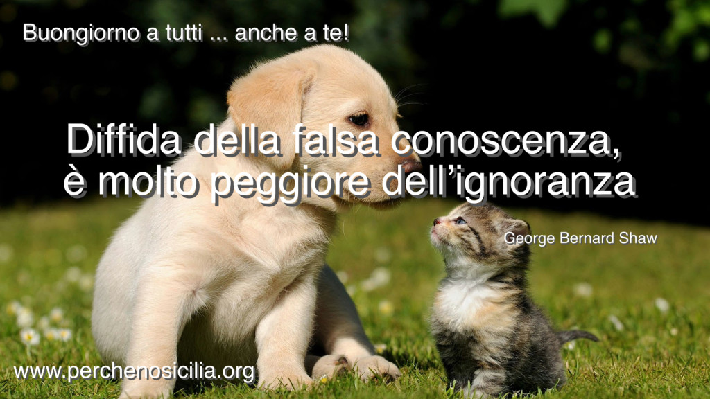 2016 01 31 domenica buongiorno