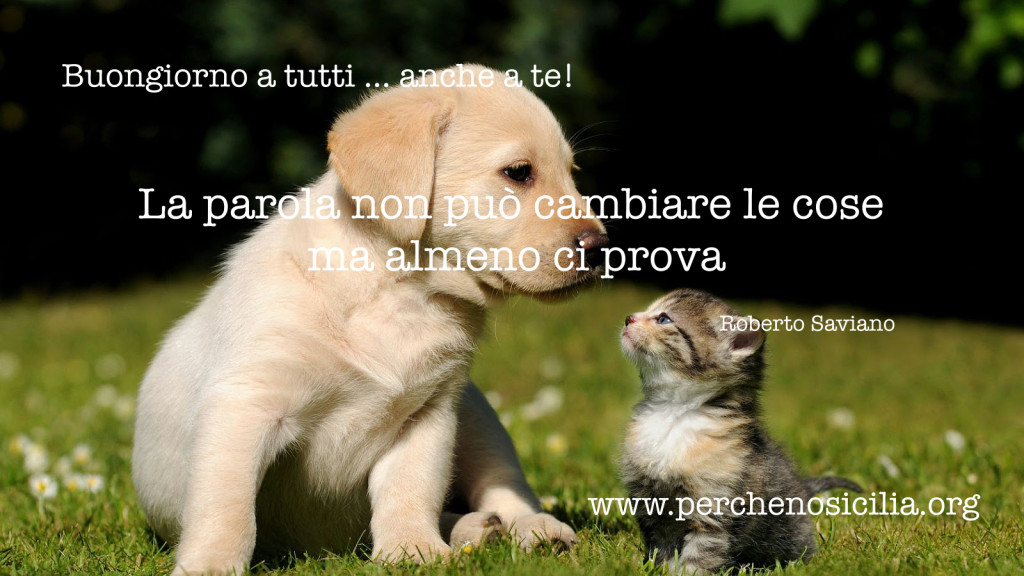 2016 02 07 domenica