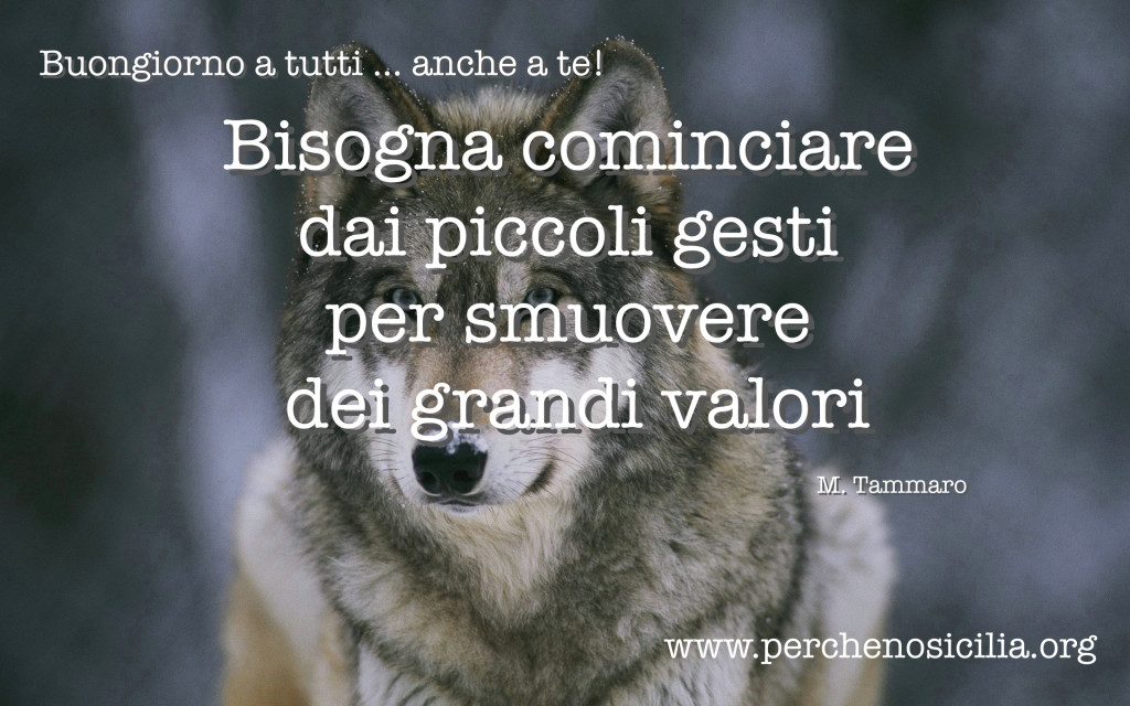 2016 02 18 giovedì