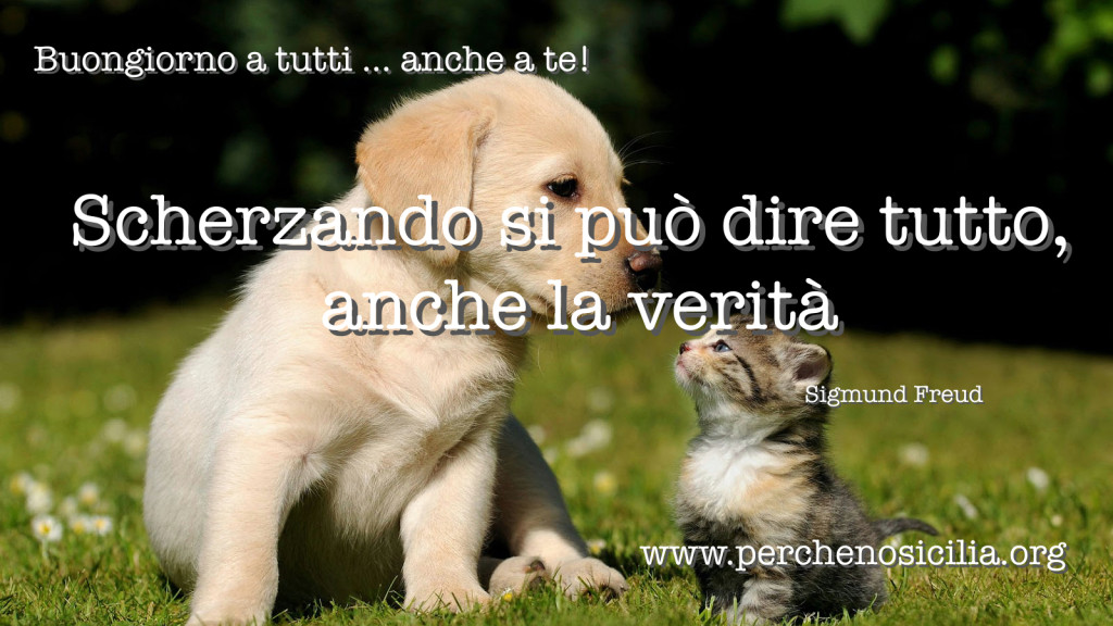 2016 02 21 domenica