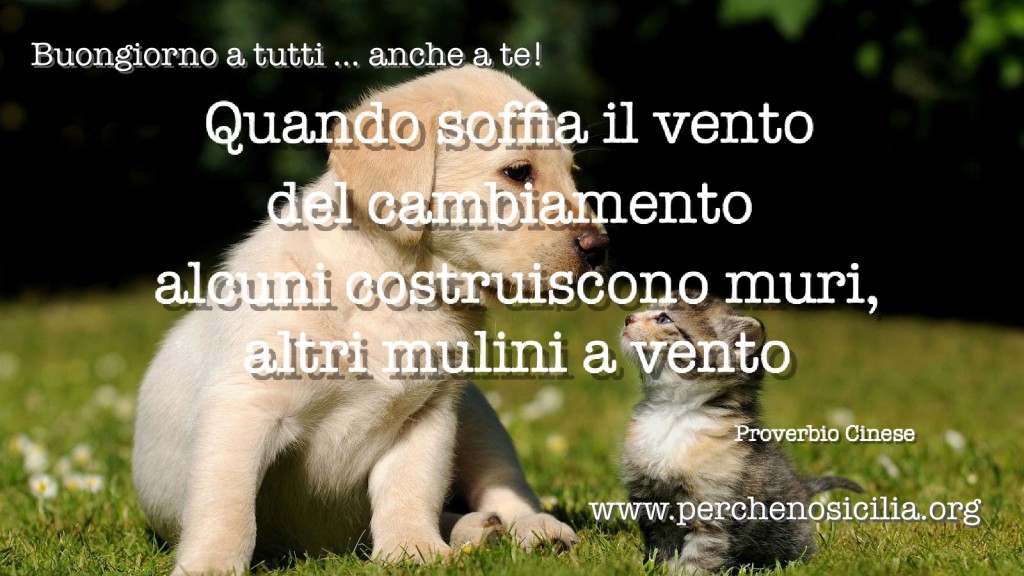 2016 03 06 domenica