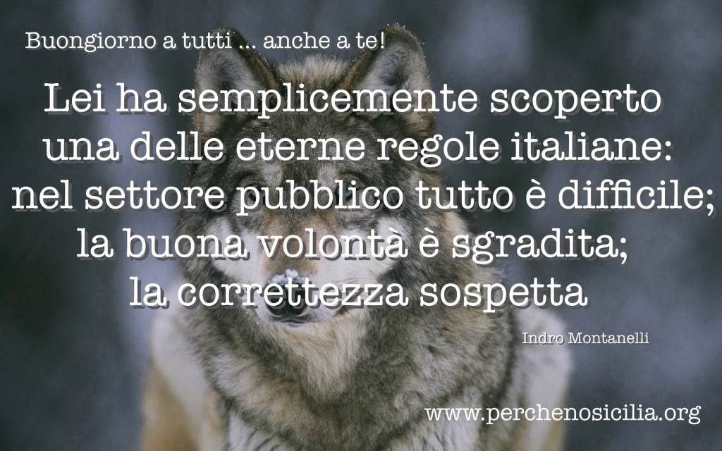 a giovedì_ 2016 02 11