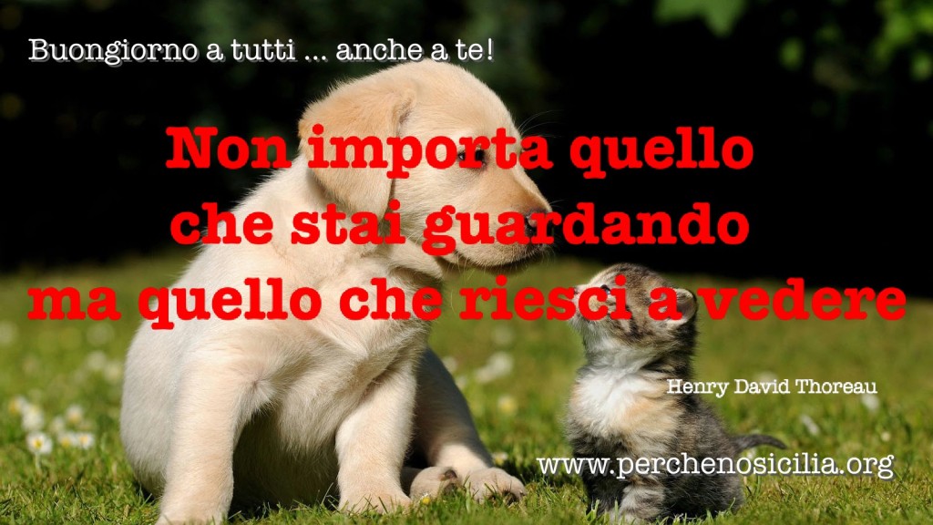 2016 03 13 domenica