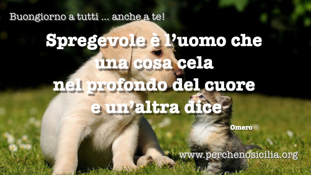 2016 03 20 domenica