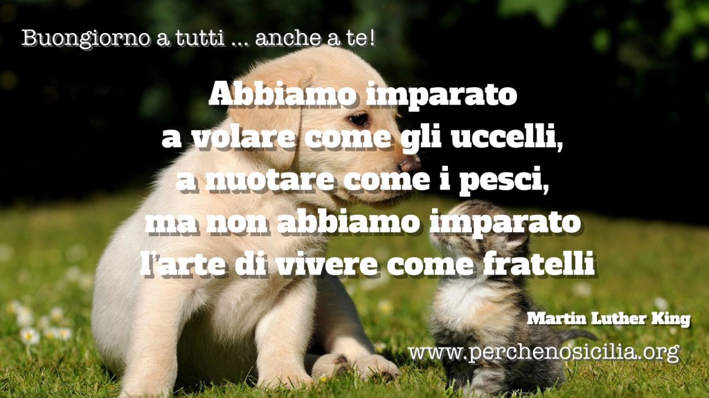 2016 03 27 domenica
