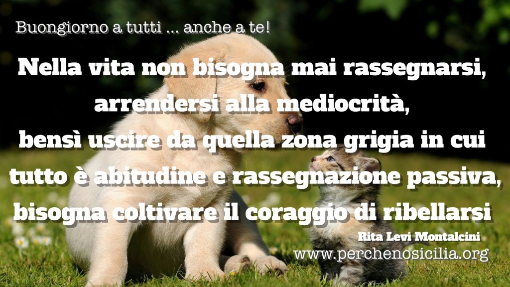 2016 04 03 domenica