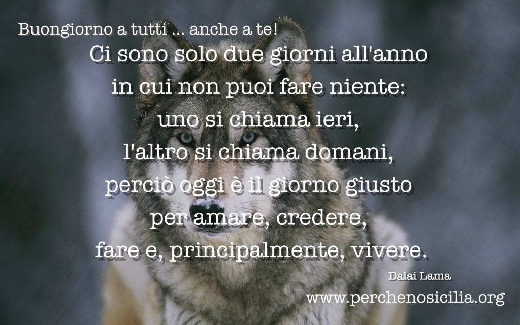 2016 04 07 giovedì