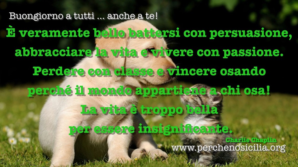2016 04 10 domenica