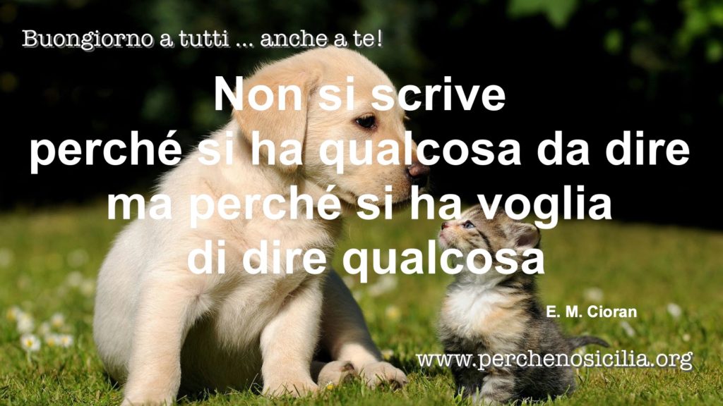 2016 04 24 domenica